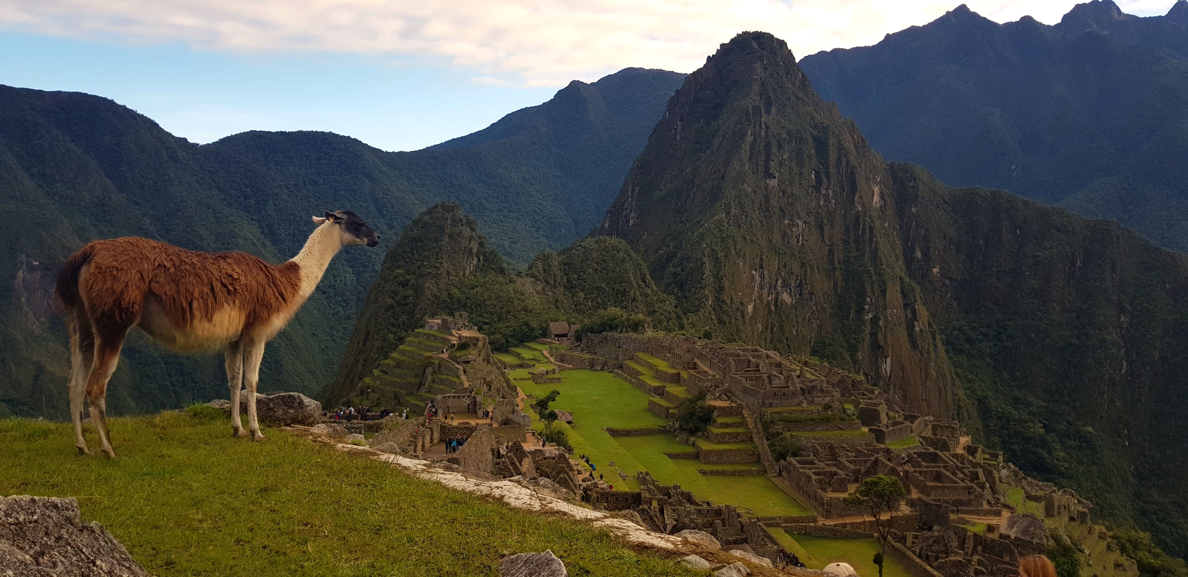 Machu Picchu Clasico - 1 Dia