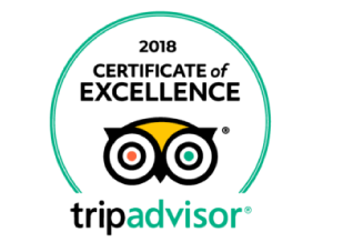 TripAdvisor 2019