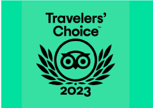 TripAdvisor 2024