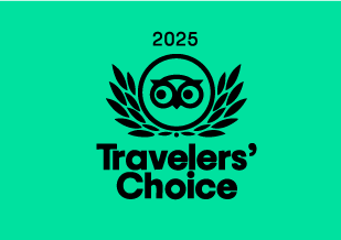 TripAdvisor 2025