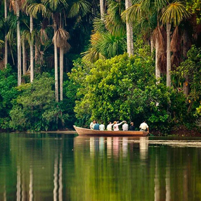 DAY 10: PUERTO MALDONADO - LODGE - MONKEY ISLAND