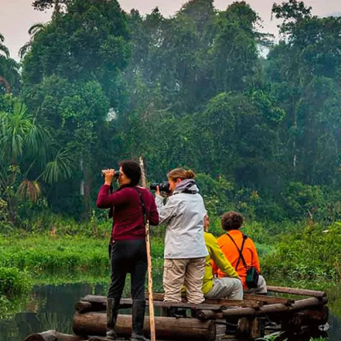 DAY 12: PARROT CLAY LICK - FLIGHT PTO. MALDONADO TO LIMA