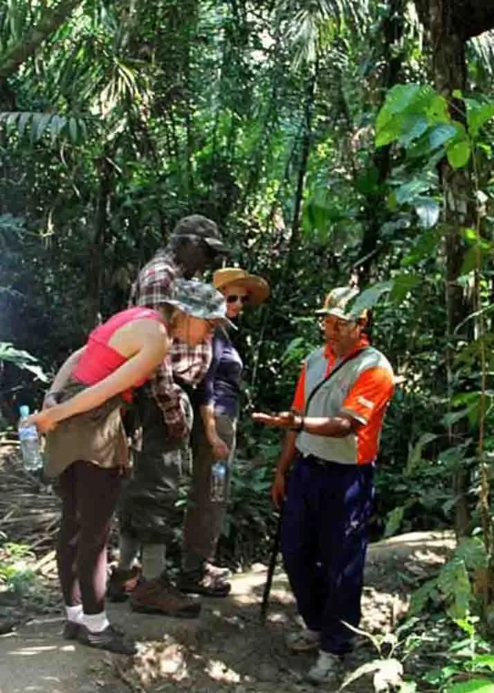 DAY 11: LODGE - SANDOVAL LAKE - CANOPY WALKWAY