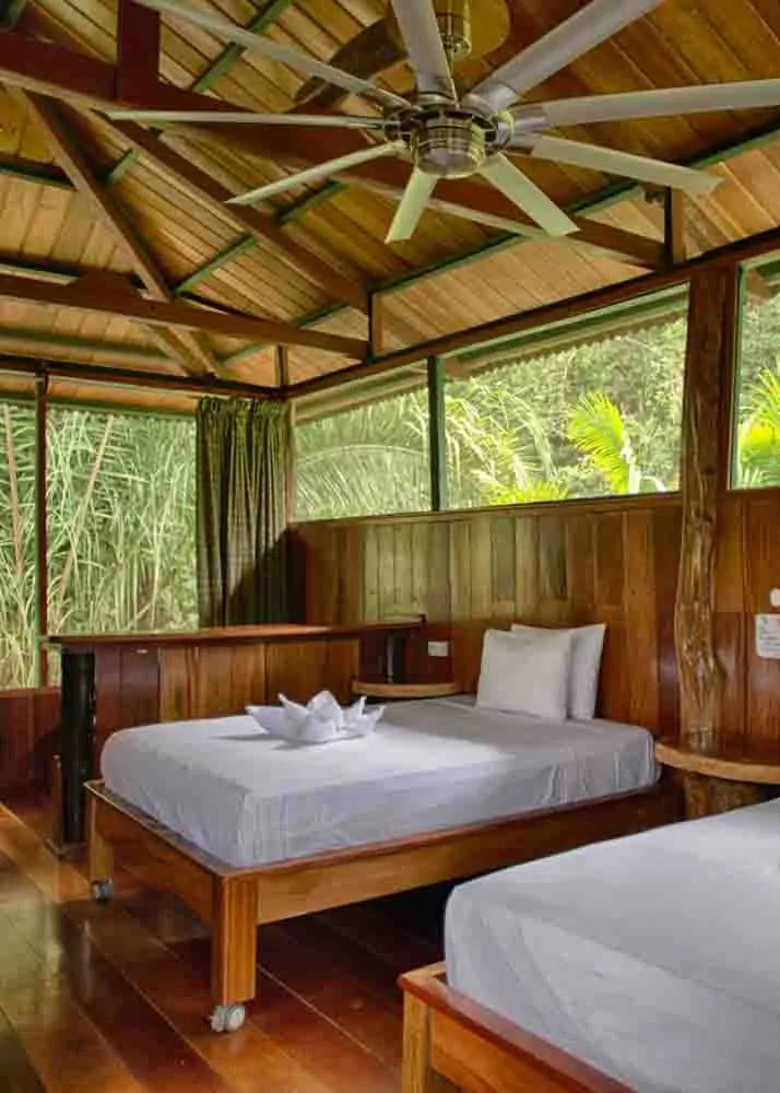 DAY 10: PUERTO MALDONADO - LODGE - MONKEY ISLAND