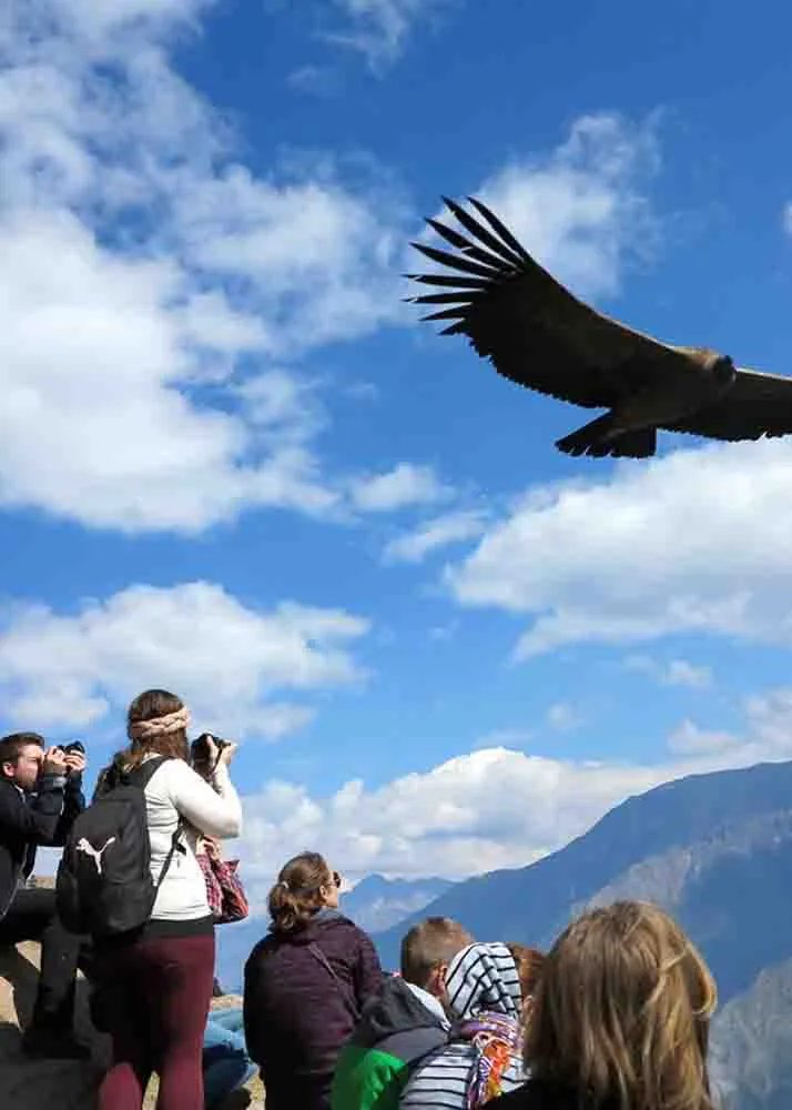 DAY 2: CABANACONDE - CHIVAY - AREQUIPA