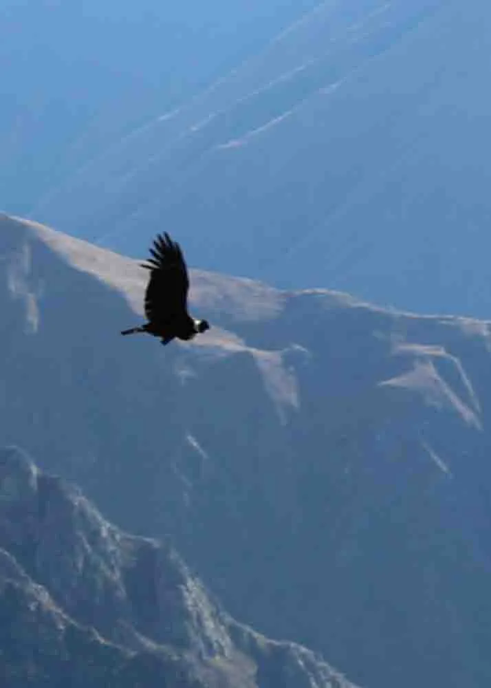 DAY 1: CRUZ DEL CÓNDOR - SAN JUAN DE CHUCCHO - SANGALLE