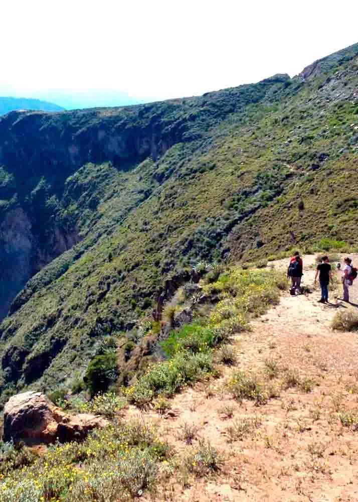 Tour al Cañón del Colca