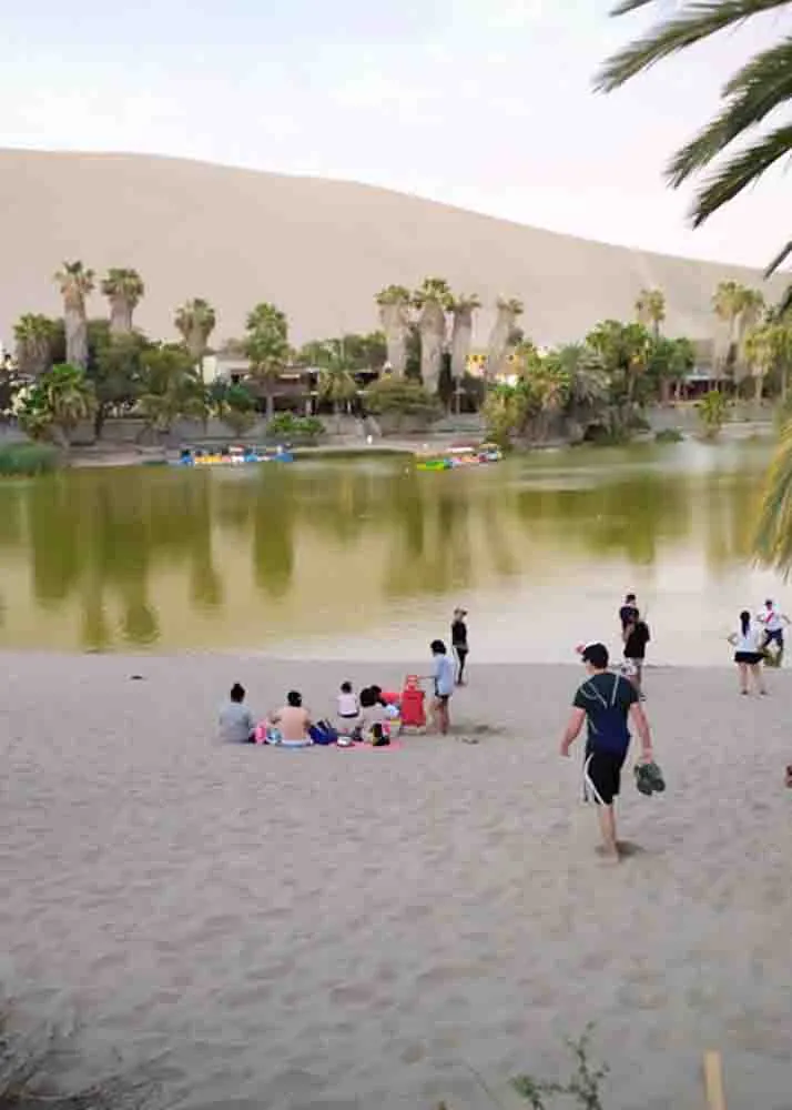 DAY 3: BALLESTAS ISLANDS AND HUACACHINA OASIS