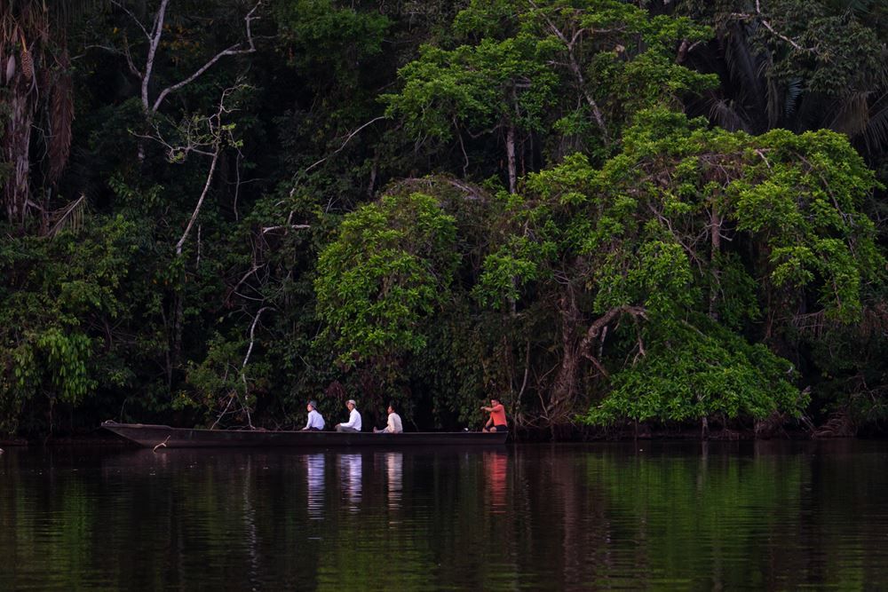 SANDOVAL LAKE AND PARROT CLAY LICK TOUR – 3 DAYS