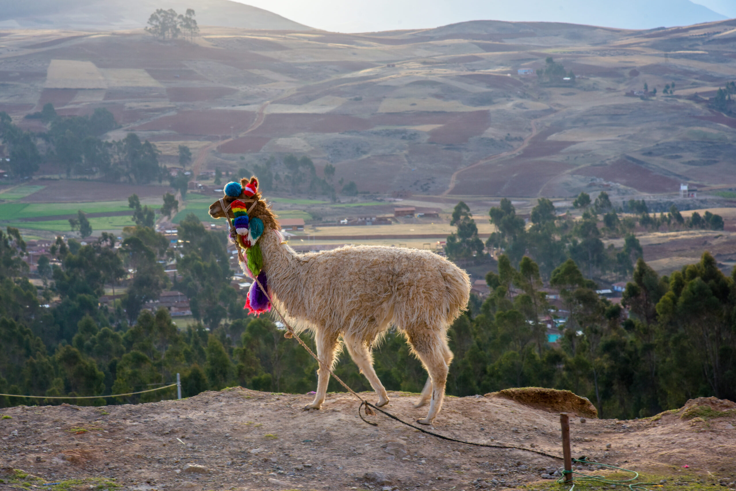 SACRED VALLEY OF THE INCAS – 1 DAY