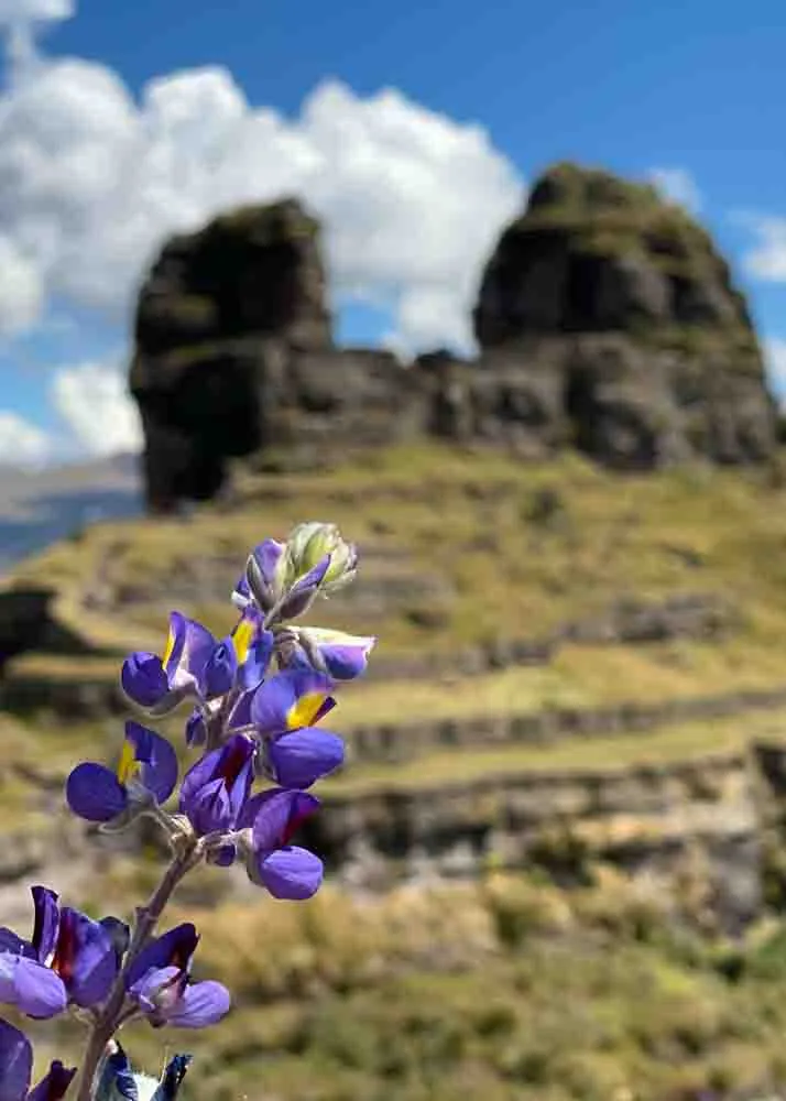 ITINERARIO DE LA EXCURSIÓN A WAQRAPUKARA - 1 DÍA