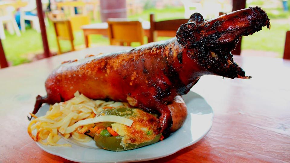 TYPICAL FOOD YOU HAVE TO TRY DURING YOUR VISIT TO CUSCO