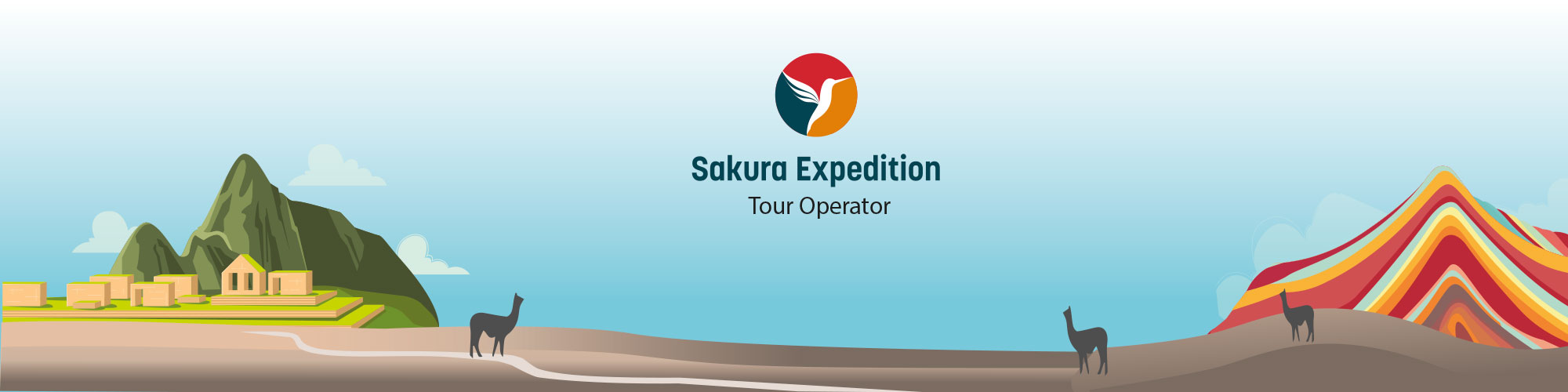 conociendo sakura